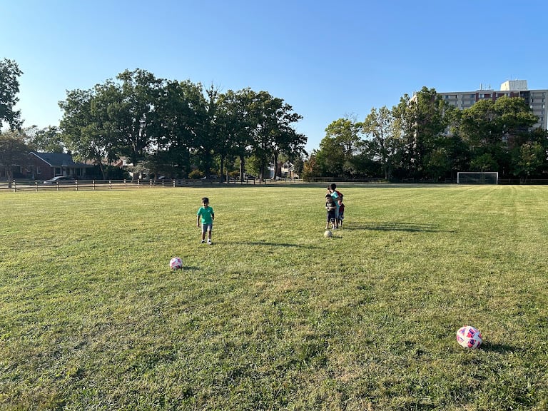 Dearborn Heights Soccer Club – Wolverines
