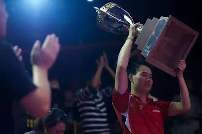 Champion Star Table Tennis Academy — Sports Club in Mountain View, California