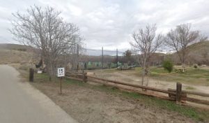 Gorilla airsoft playing field