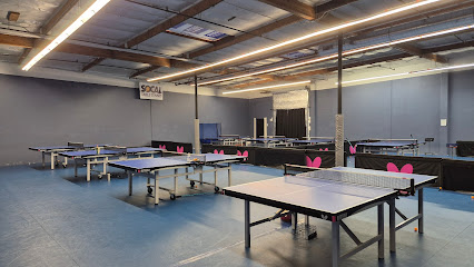 SoCal Table Tennis — Sports Club in San Diego, California