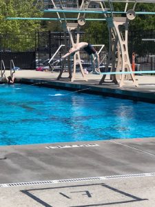 California Diving Academy — Sports Club in Walnut Creek, California