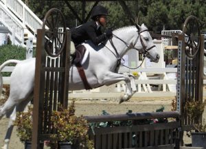 ACROSS THE RAILS RIDING ACADEMY — Sports Club in Escondido, California