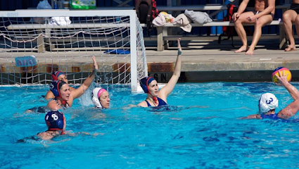 Tampa Bay Water Polo — Swimming venue in Florida