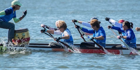 Charlotte Harbor Dragons