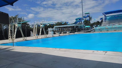 Atlantic Diving Team — Swimming venue in Florida