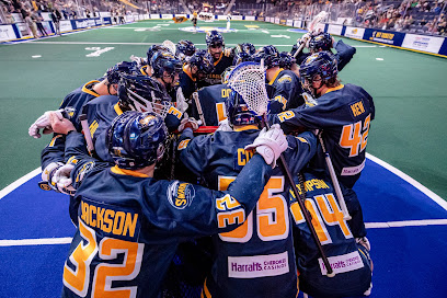 Georgia Swarm Professional Lacrosse — Lacrosse venue in Georgia