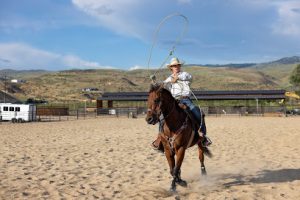 Dry Creek Ranch Arena & Stables — Sports Club in Garden City, New York