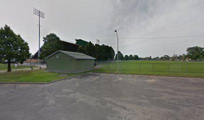 Wayne State Soccer Field — Soccer venue in Michigan