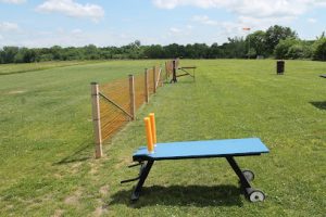 Cameron dragonflies — Sports Club in Cameron, West Virginia