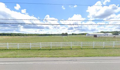 Preston Equestrian LLC — Equestrian venue in New York