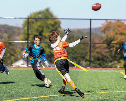 Mad Dog NFL Flag Football — Football venue in New York
