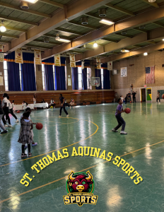 St. Thomas Aquinas Sports — Sports Club in Brooklyn, New York