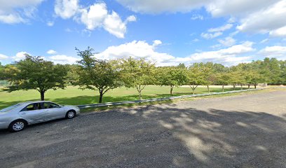 Staten Island Tamil Volleyball Club — Sports Club in Staten Island, New York