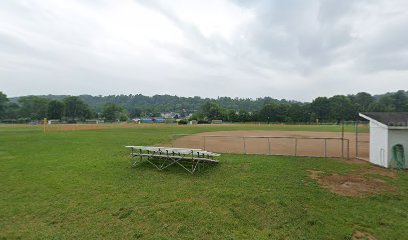 Lowell Baseball/Softball League Fields — Softball venue in Ohio