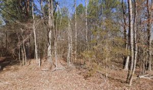 Spartanburg Practical Shooters