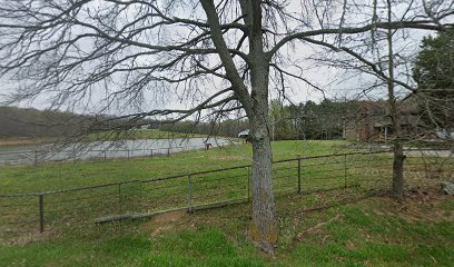 Reinbow riding academy — Sports Club in Huron, Tennessee