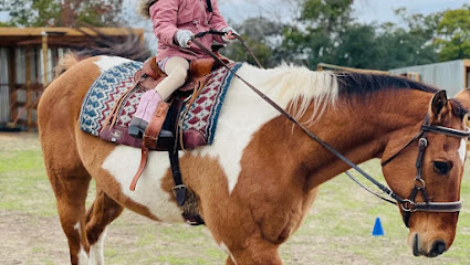 Corwin Hills Equestrian Club — Equestrian venue in Texas