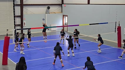 Pono Volleyball