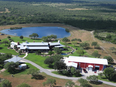 Cougar Red Ranch