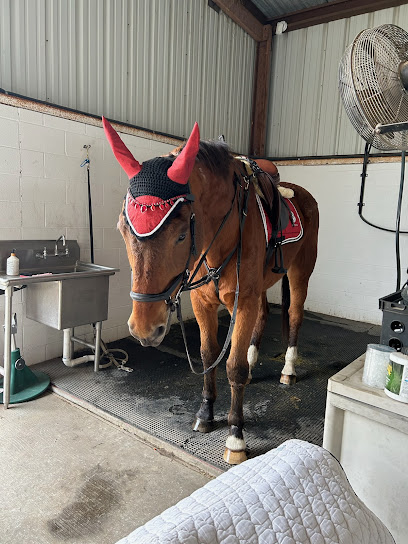 Happy Place Equestrian Center — Equestrian venue in Texas
