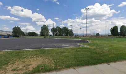 Wasp Field
