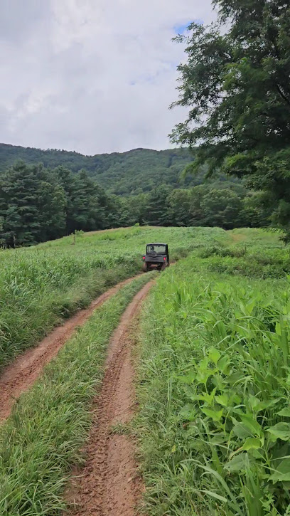 Primland Sporting Club — Sports Club in Claudville, Virginia