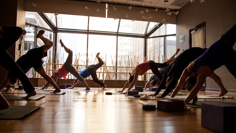 Charlotte Athletic Club — Gym venue in North Carolina