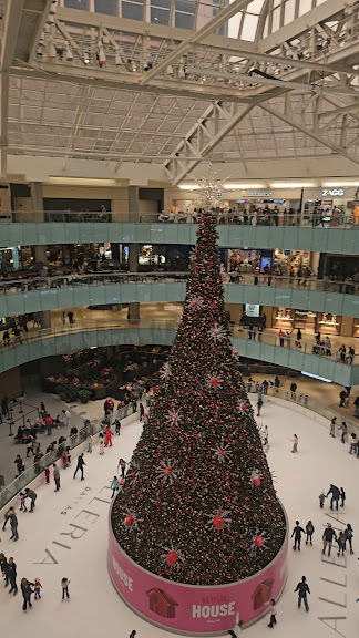 Galleria Ice Skating Center — Dallas, Texas (3)