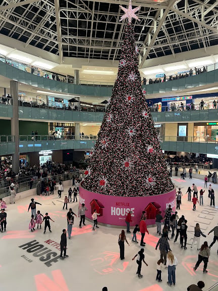 Galleria Ice Skating Center — Sports Club in Dallas, Texas