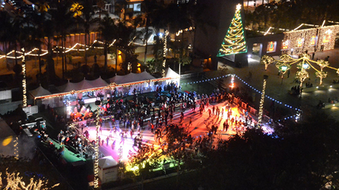 Holiday Ice Rink