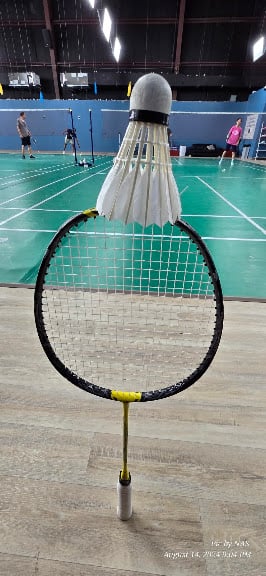 Houston Badminton Academy @ Cypress