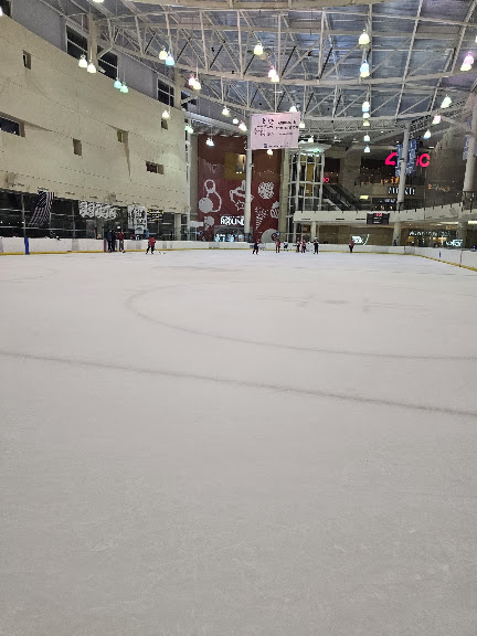 ICE at The Parks — Arlington, Texas (2)