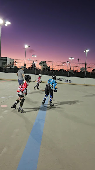 Inline Hockey Rink