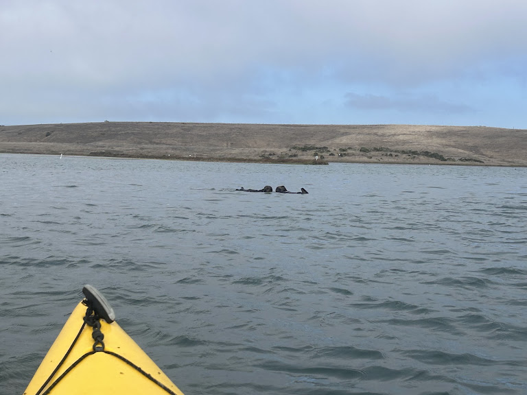 Kayak Connection — Moss Landing, California (2)