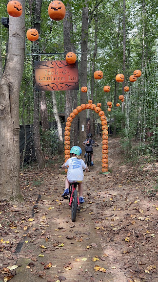 Kolo Bike Park — Asheville, North Carolina (2)