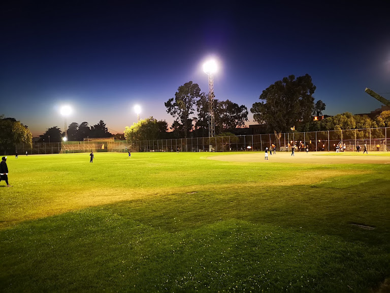 Moscone Softball Fields