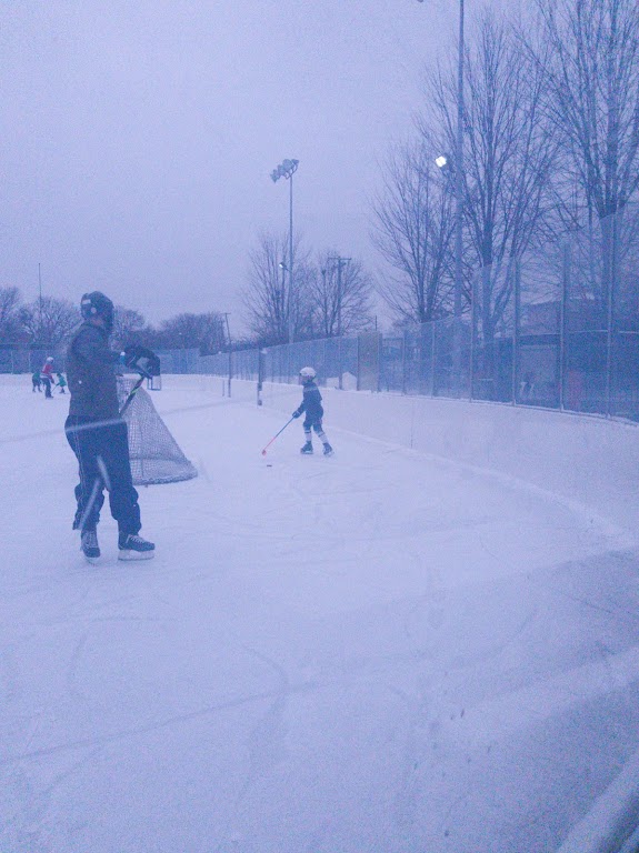 Mt. Greenwood Park Ice Rink — Ice Skating venue in Chicago, Illinois