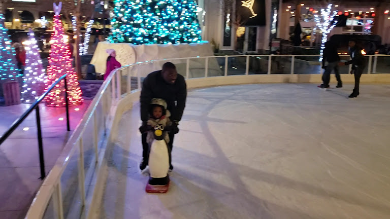 Outdoor Ice Skating — Nottingham, Maryland (2)