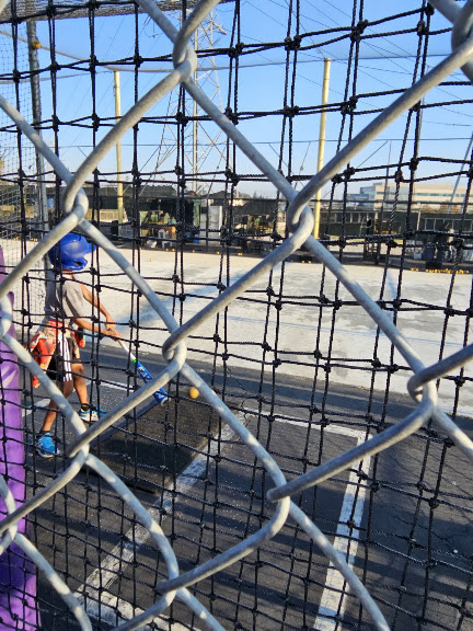 Rex’s Baseball Batting Cage