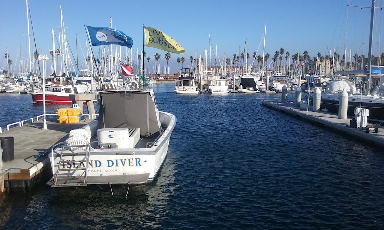 Rocky Point Kayak, Paddle Board, Surfboard and Wetsuit Rentals — Kayaking venue in Redondo Beach, California