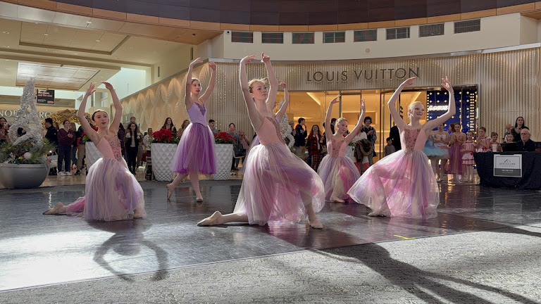 South Charlotte Ballet Company