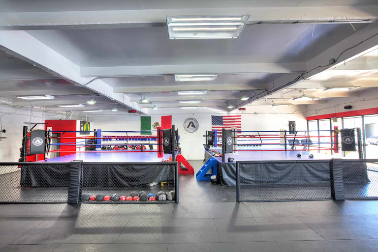 THE ARENA | The Boxing, Jiu Jitsu, MMA & Muay Thai Gym in San Diego — Gym venue in California
