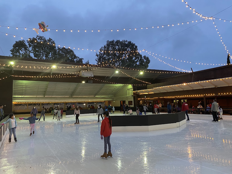 Winter Lodge — Palo Alto, California (2)