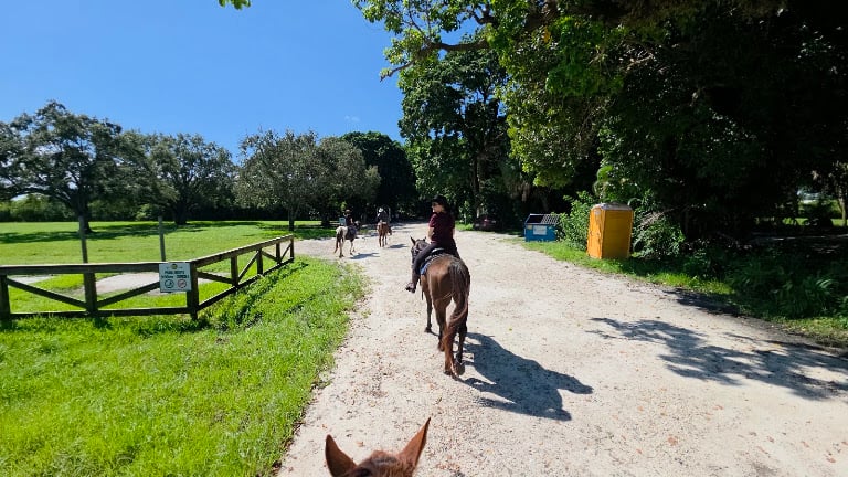 A&A Adventure Horse Trail Rides — Miramar, Florida (2)