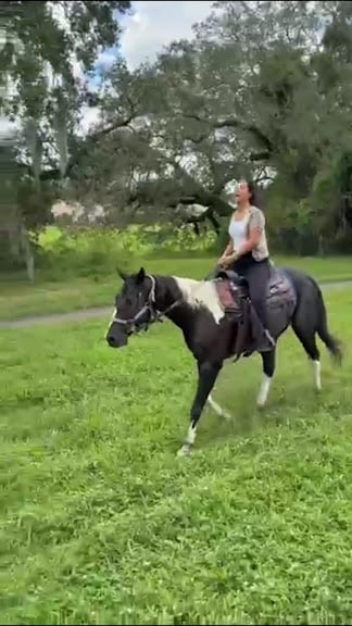 A&A Adventure Horse Trail Rides — Miramar, Florida (3)