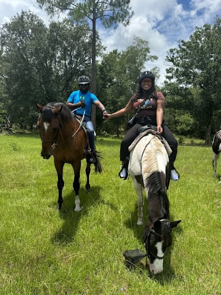 AAA Equestrian
