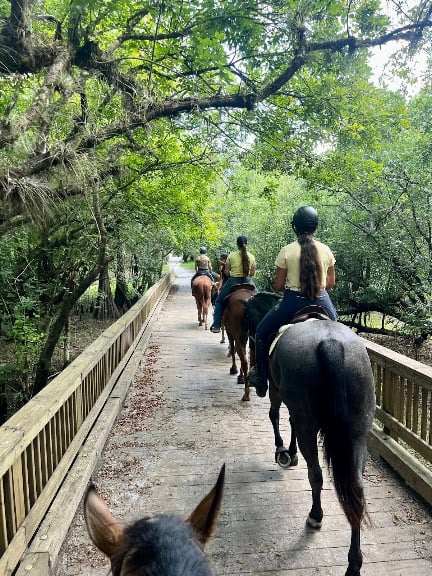 Above and Beyond Equestrian — Orlando, Florida (2)
