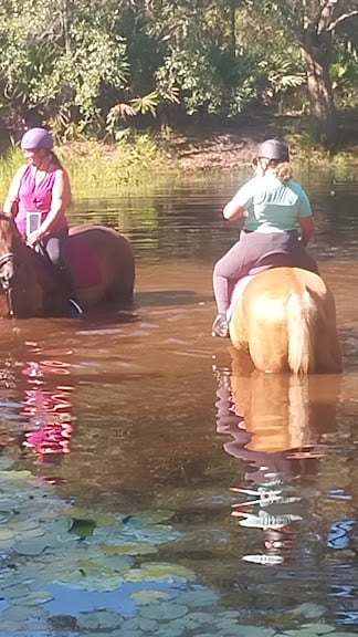 Above and Beyond Equestrian — Orlando, Florida (3)