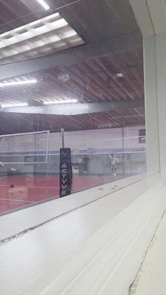 Actyve Volleyball