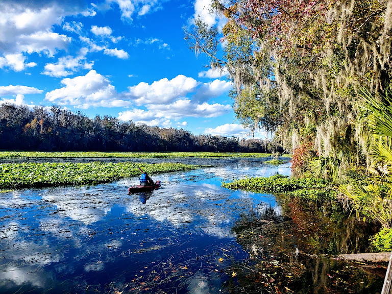 Adventures In Florida — Orlando, Florida (2)